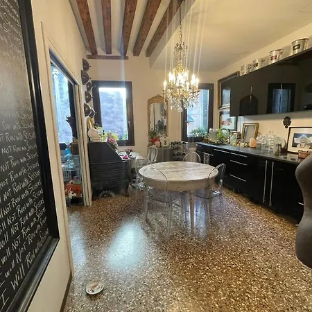 Cats And Antiques In Private * Venedig