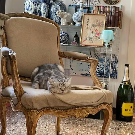 Kwatera prywatna Cats And Antiques In Private