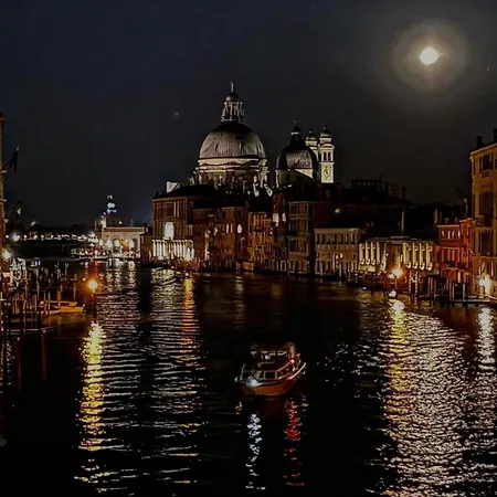 Cats And Antiques In Private Wenecja