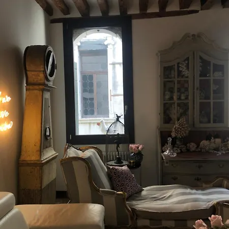 Cats And Antiques In Private *